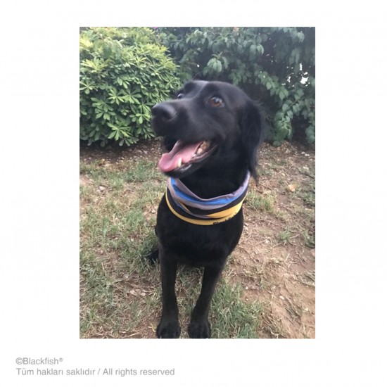 Bandana Blackfish Çizgi Serisi B1.BL.09