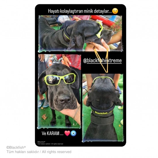 Fat Pro Suda Batmaz Gözlük İpi Neon Serisi B4.FTN.04